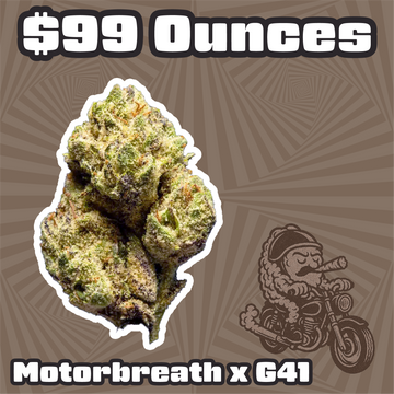 THC-A Flower  – Motorbreath x G41 – Hybrid