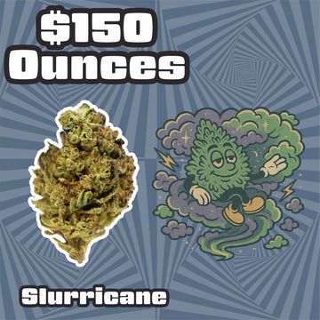 THC-A Flower – Slurricane - Hybrid