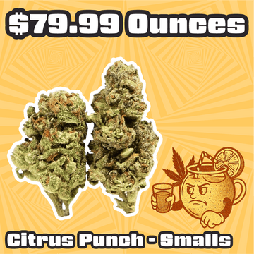 THC-A Flower – Citrus Punch Smalls – Sativa