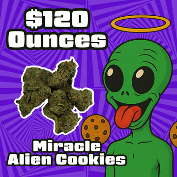 THC-A Flower – Miracle Alien Cookies – Sativa