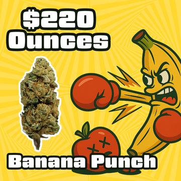 THC-A Flower – Banana Punch – Hybrid