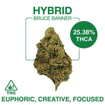 THC-A Flower – Bruce Banner – Hybrid