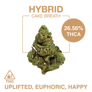 THC-A Flower – Cake Breath – Hybrid