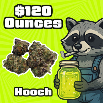 THC-A Flower – Hooch – Indica