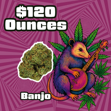 THC-A Flower – Banjo – Hybrid