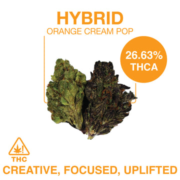 THC-A Flower – Orange Cream Pop – Hybrid