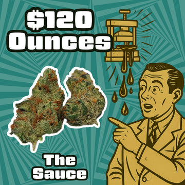 THC-A Flower – The Sauce – Hybrid