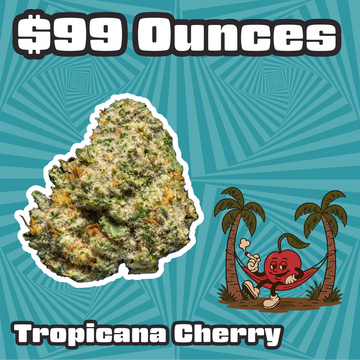 THC-A Flower - Tropicana Cherry - Sativa