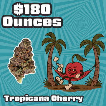 THC-A Flower – Tropicana Cherry - Sativa