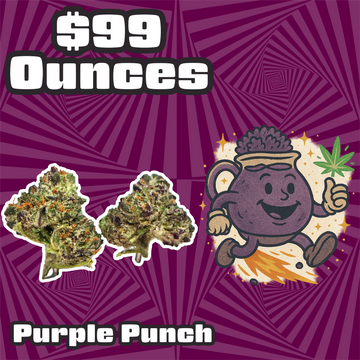 THC-A Flower  – Purple Punch - Hybrid