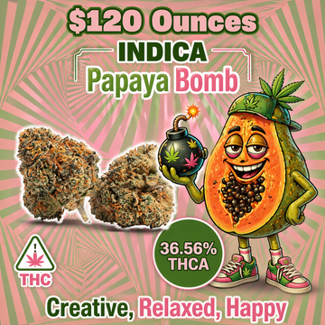 THC-A Flower  – Papaya Bomb – Indica