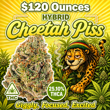 THC-A Flower – Cheetah Piss – Hybrid