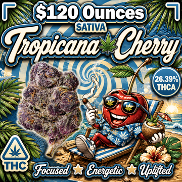 THC-A Flower - Tropicana Cherry - Sativa