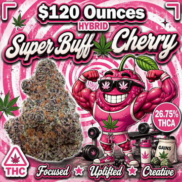 THC-A Flower  – Super Buff Cherry – Hybrid