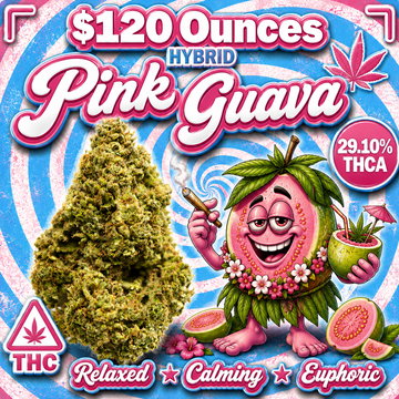 THC-A Flower  – Pink Guava – Hybrid