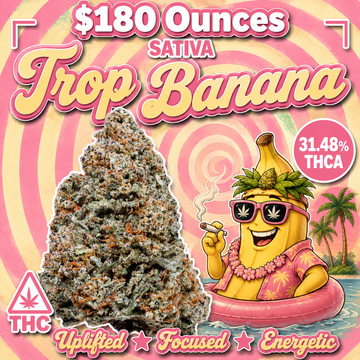 THC-A Flower  – Trop Banana - Sativa