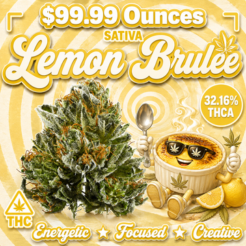 THC-A Flower  – Lemon Brulee – Sativa