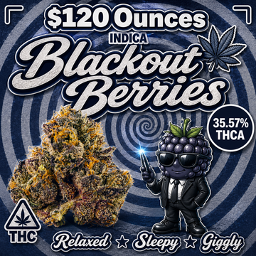 THC-A Flower  – Blackout Berries – Indica