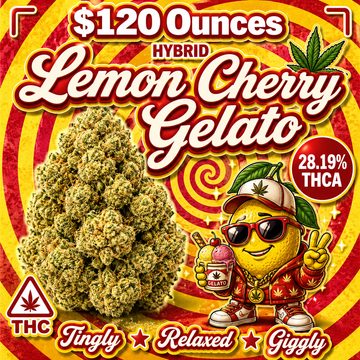 THC-A Flower  – Lemon Cherry Gelato - Hybrid