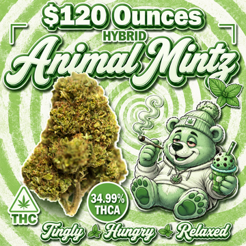 THC-A Flower  – Animal Mintz – Hybrid