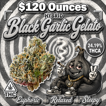 THC-A Flower  – Black Garlic Gelato – Hybrid