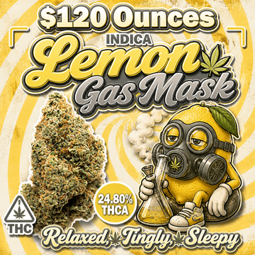 THC-A Flower  –  Lemon Gas Mask – Indica