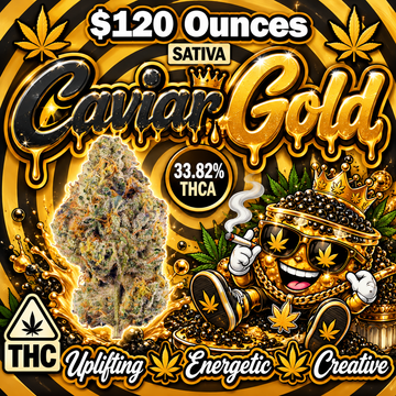THC-A Flower  – Caviar Gold – Sativa