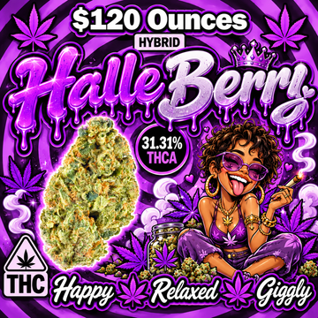 THC-A Flower  – Halle Berry – Hybrid
