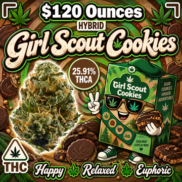 THC-A Flower  – Girl Scout Cookies – Hybrid