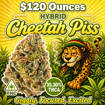 THC-A Flower – Cheetah Piss – Hybrid