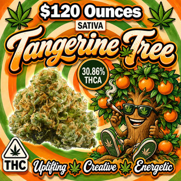 THC-A Flower  – Tangerine Tree – Sativa