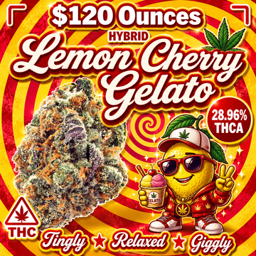 THC-A Flower  – Lemon Cherry Gelato - Hybrid