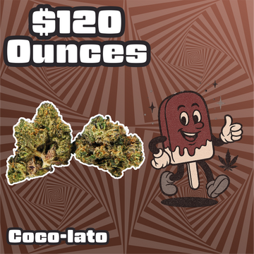 THC-A Flower  – Coco-lato - Sativa