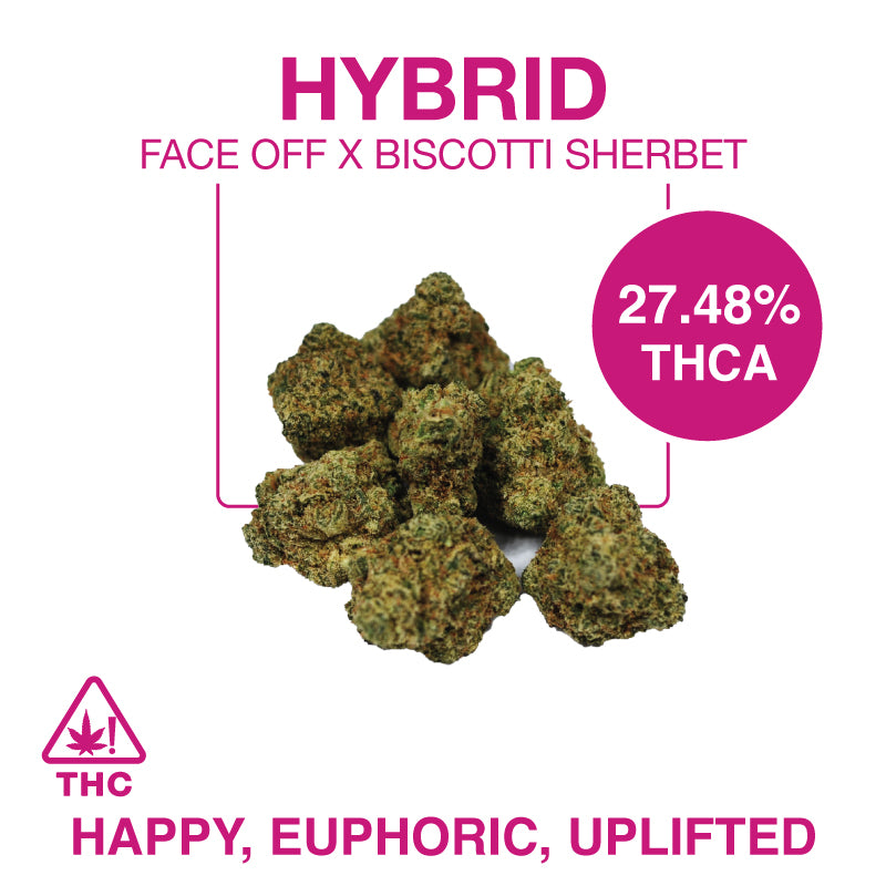 THC-A Flower – Face Off X Biscotti Sherbet Smalls – Hybrid