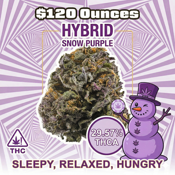 THC-A Flower  – Snow Purple - Indica