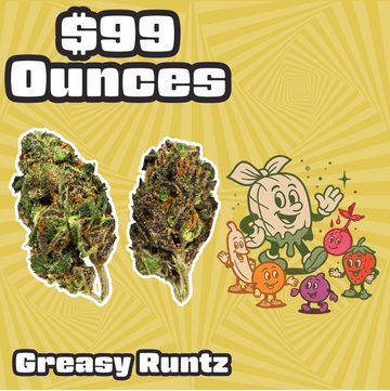THC-A Flower  – Greasy Runtz - Hybrid