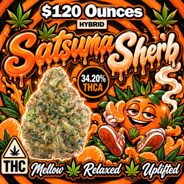 THC-A Flower  – Satsuma Sherb – Hybrid