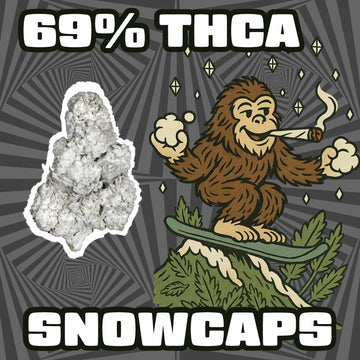 THC-A Flower – Snowcaps – Hybrid