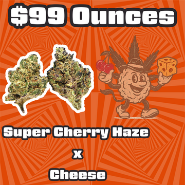 THC-A Flower  – Super Cherry Haze x Cheese - Indica