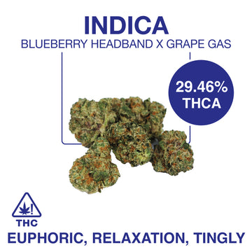 THC-A Flower – Blueberry Headband x Grape Gas