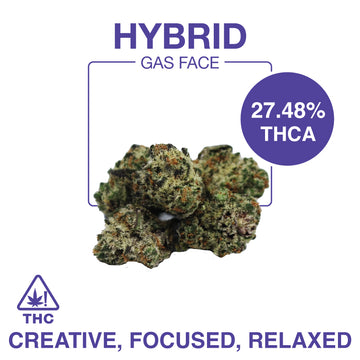 THC-A Flower – Gas Face Smalls – Hybrid