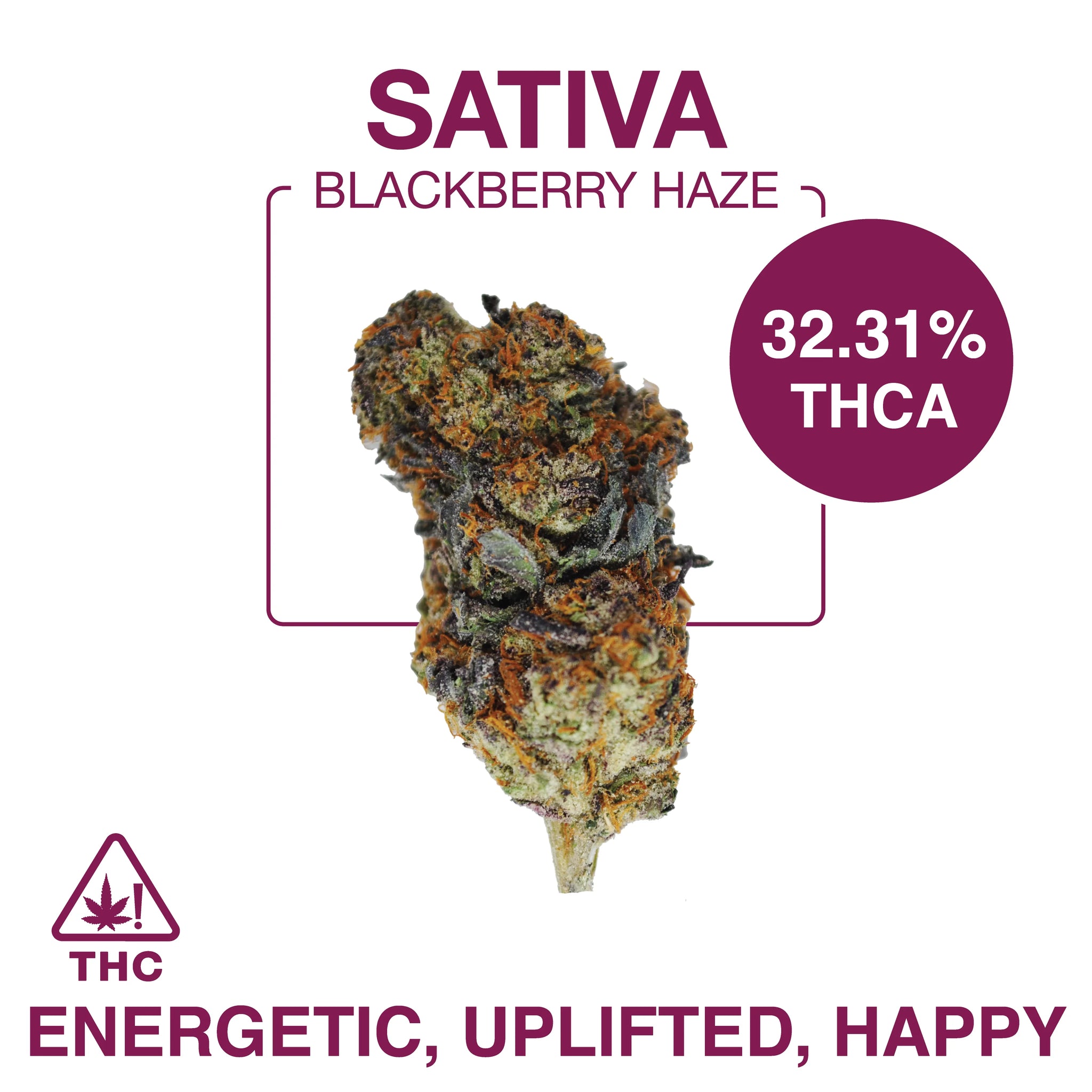 THC-A Flower – Exotic Indoor – Blackberry Haze – Sativa