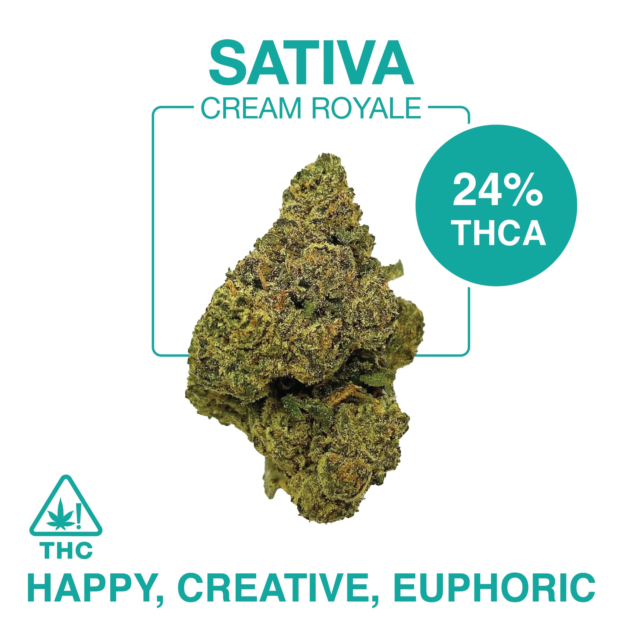 THC-A Flower – Exotic Indoor – Cream Royale – Sativa