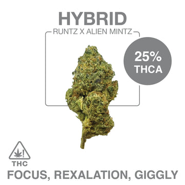 THC-A Flower – Runtz X Alien Mintz – Hybrid