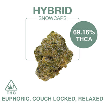 THC-A Flower – Snowcaps – Hybrid